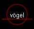 vgel